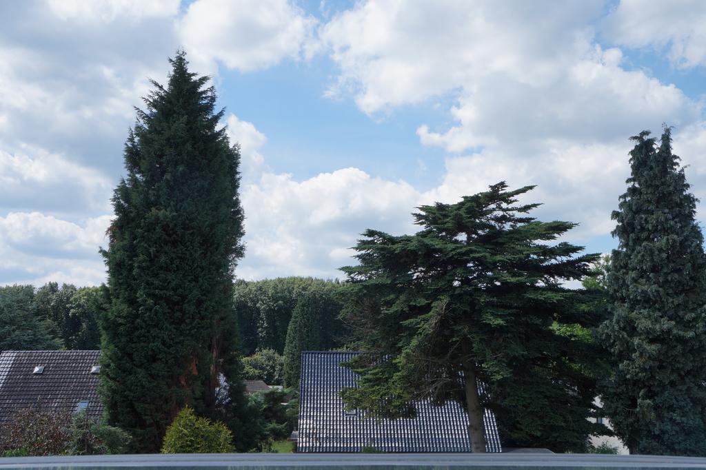 Ferienwohnung Haagedoernchen 奈特匋 外观 照片